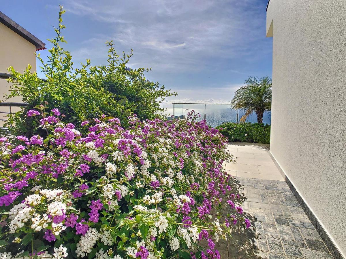Francelho 2 Aparment By Mhm Apartment Ribeira Brava Bagian luar foto